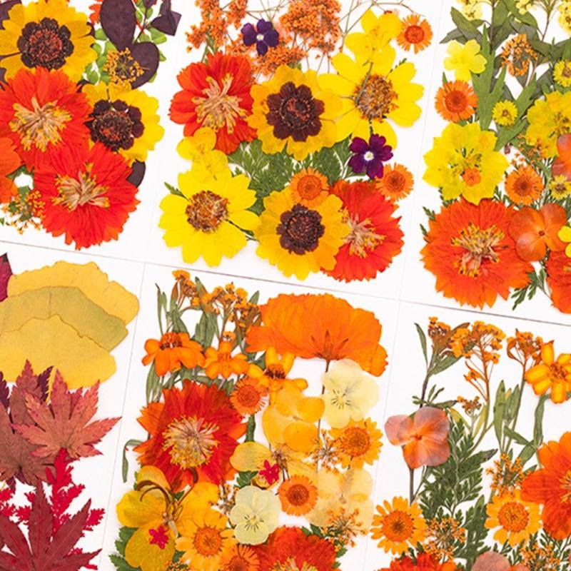 Fiori pressati essiccati per s - Resin Craft Ideas recensione e prezzo